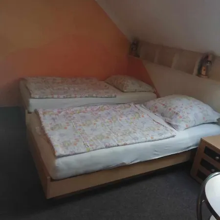 Maison d'hôtes U Burešů Staré Sedlo *